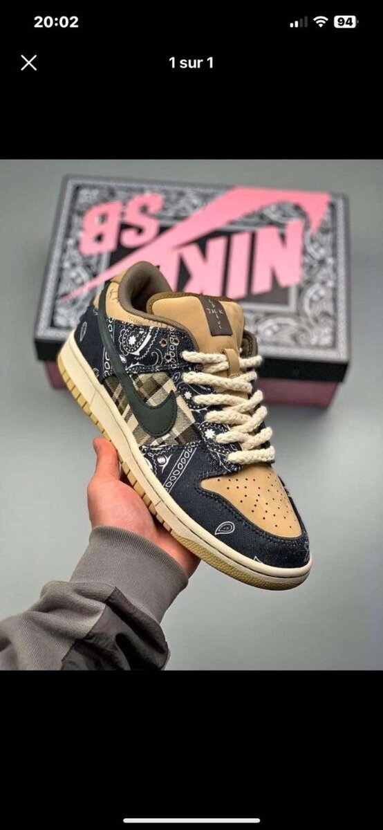 Nike Jordan sb