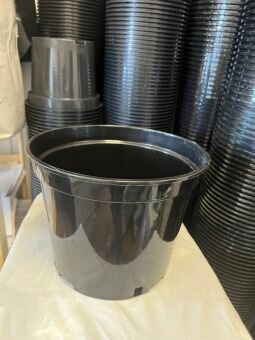 Контейнер круглый С2 (2л, диаметр 17 см, высота 13 см)