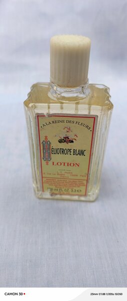 ELIOTROPE BLANC