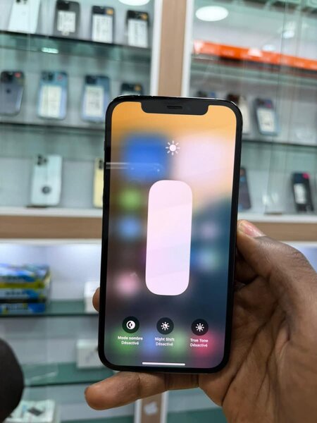 Apple iPhone 12 Pro Max