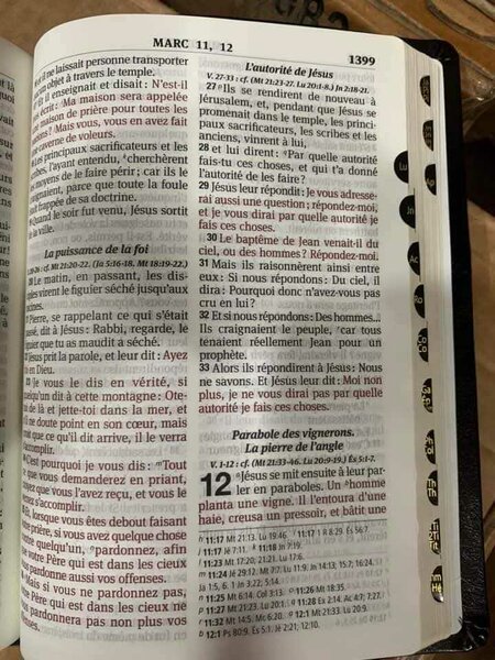 Bible La Sainte  Louis segond