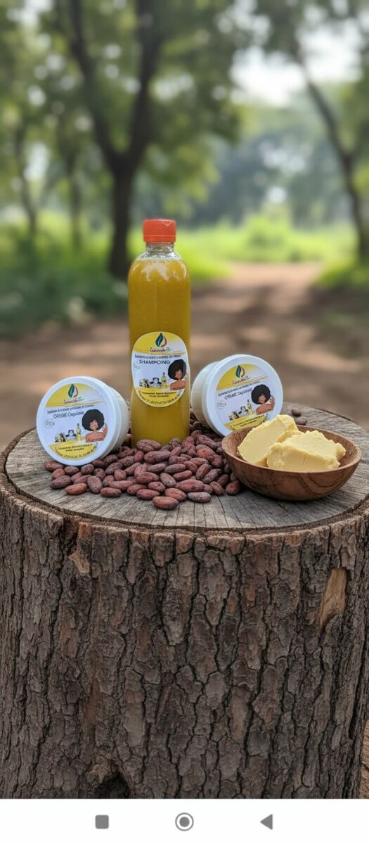 Soin Naturel Cheveux Afro