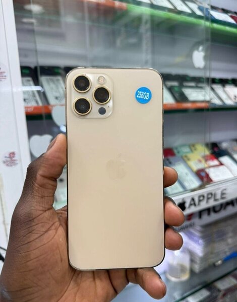 iPhone 12 Pro Max 256GB Or