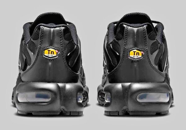 Chaussures Nike Air Max TN Noir