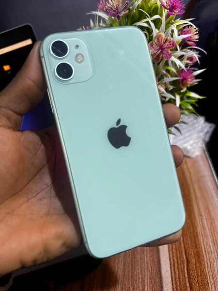 iPhone 11 64 Go Vert
