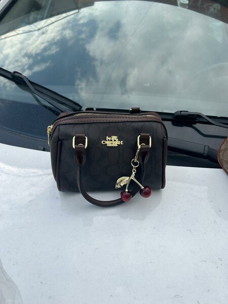 Sacs à main Coach élégants