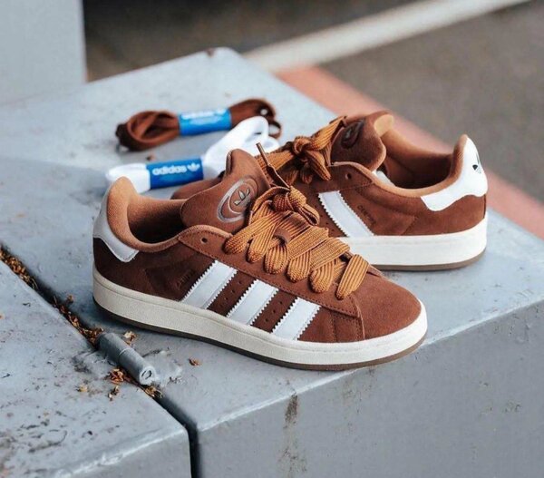Baskets Adidas Suède Marron