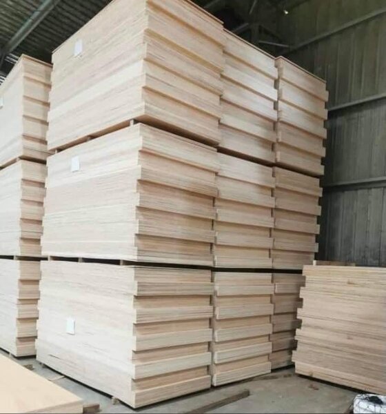 Contreplaqué Qualité de 5mm..