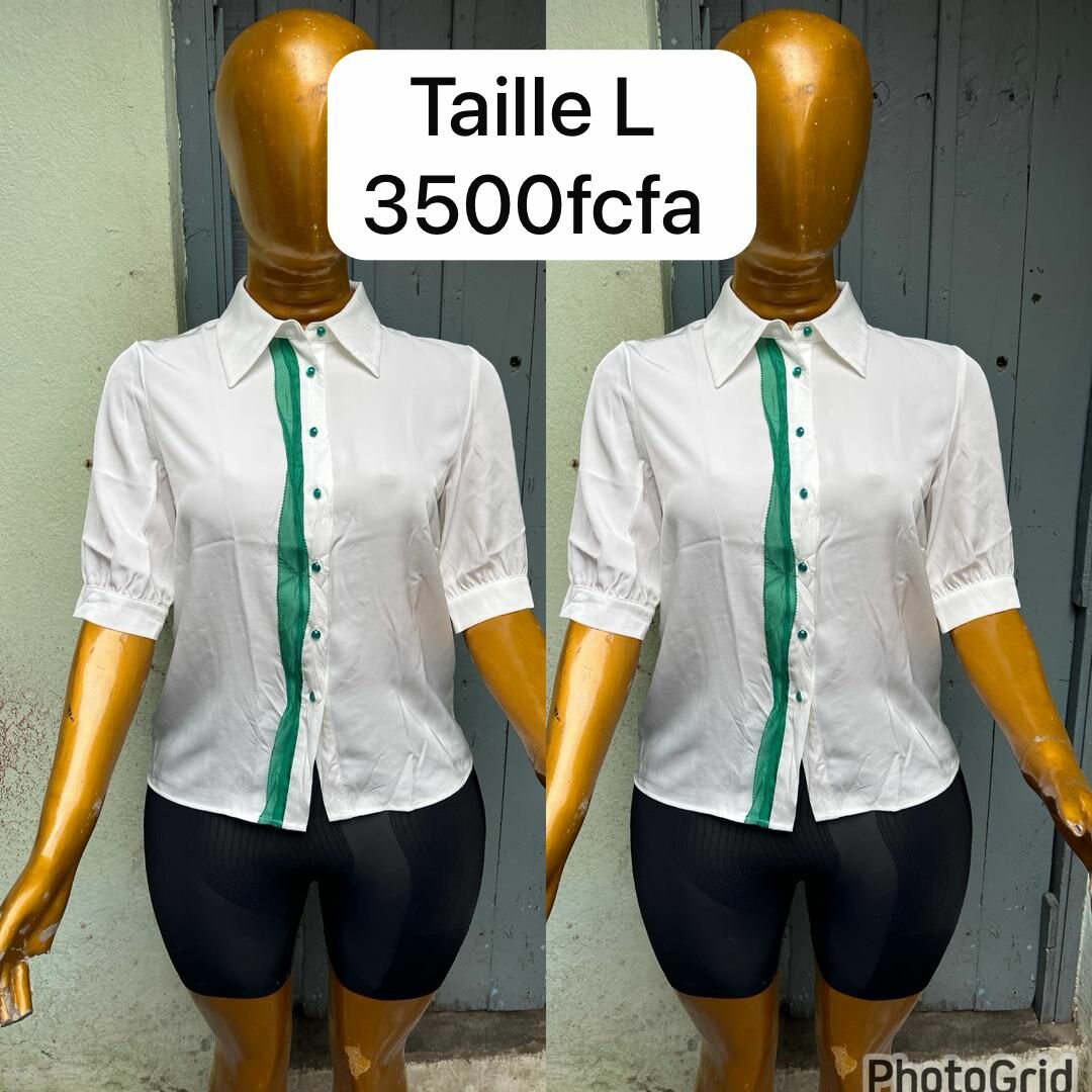 Chic Women's Blouse Collection