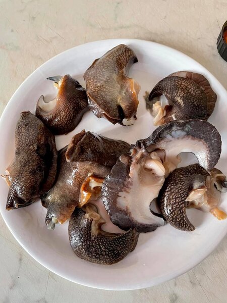 Escargot en supplément