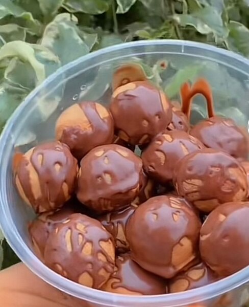 Boules Chocolatées Délicieuses