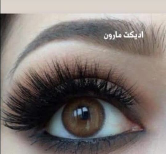 NoorAlazawi Hand Made Eye Lashes