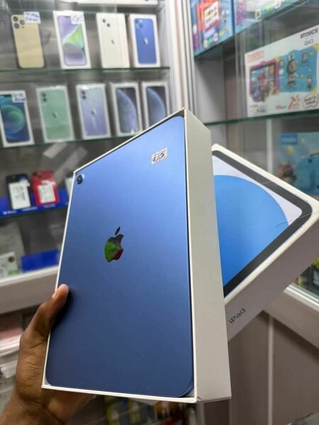 iPad Bleu 10.9" Apple