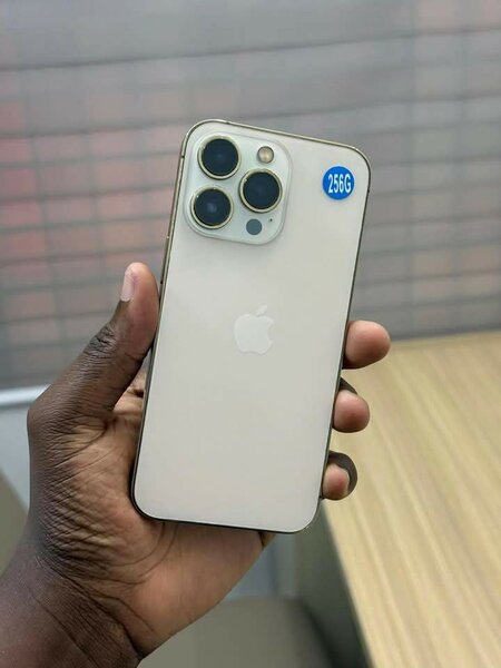 iPhone 256 Go Argent