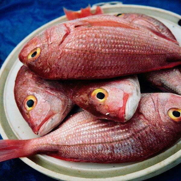 Poisson Frais Assortiment