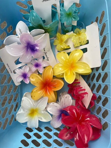 Pinces à cheveux fleurs colorées