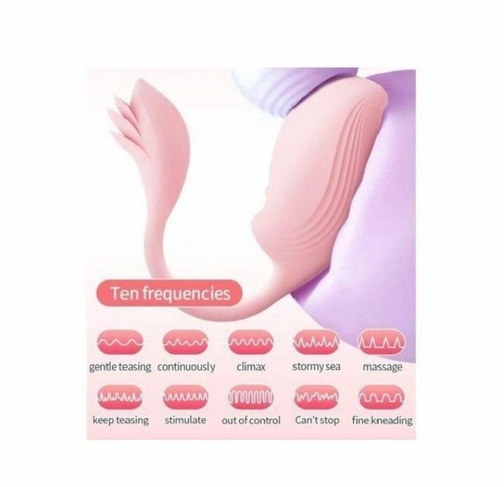 Stimulateur à Distance 10 Modes