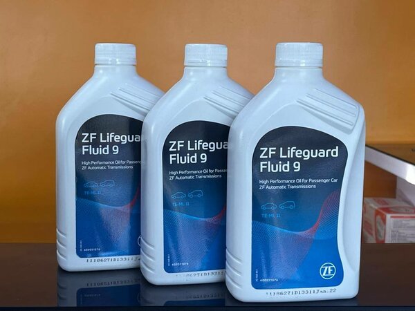 ZF Lifeguard 9 imported from ZF Industries in GERMANY