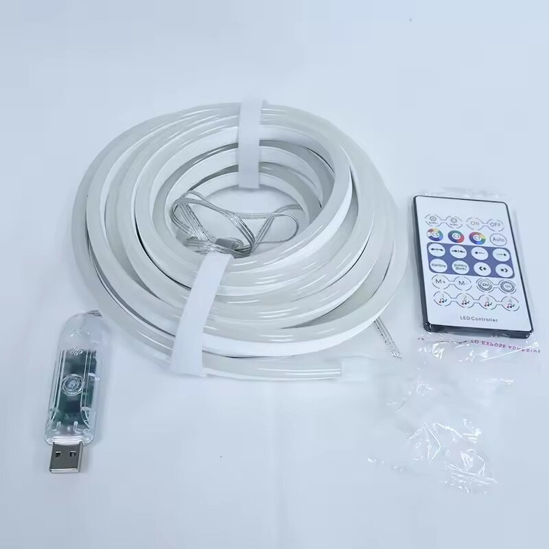 Ruban LED RGB Neon Intérieur