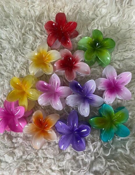 Pinces à cheveux fleurs colorées