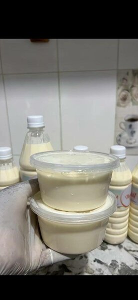 Yaourt naturel fait maison