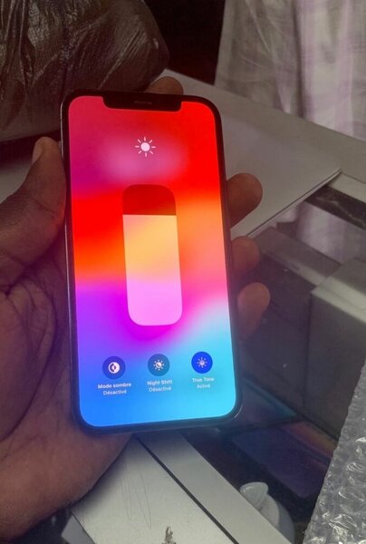 iPhone 12 Pro Max Gris