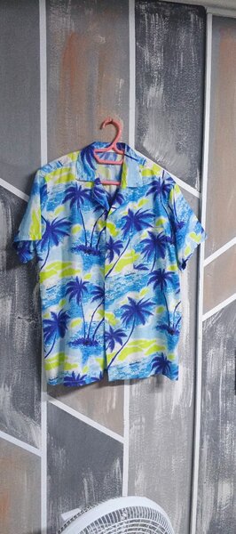 Chemise Hawaiienne Colorée