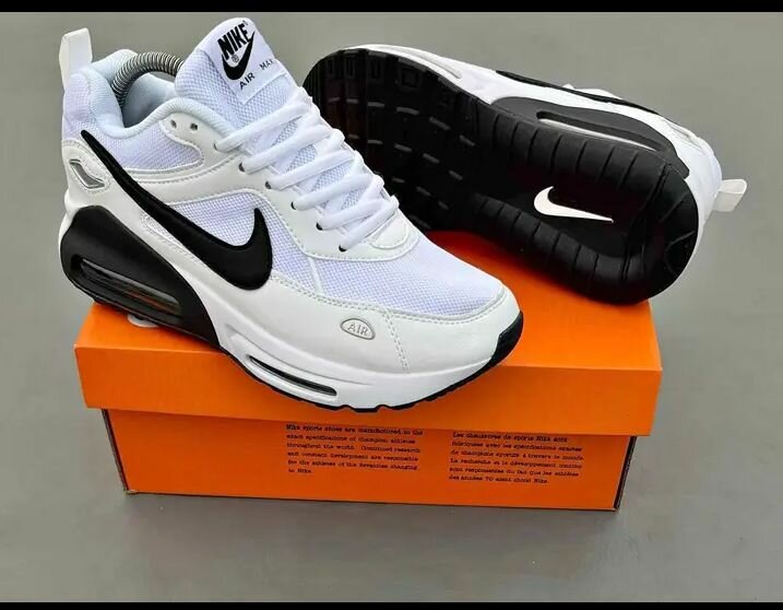 Chaussures Nike Air Max