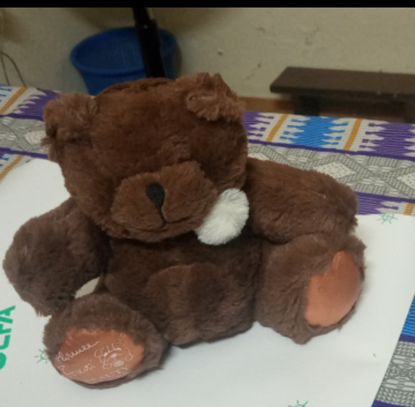 Ours en peluche doux