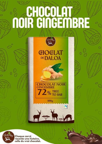 Chocolat Noir Gingembre 72%