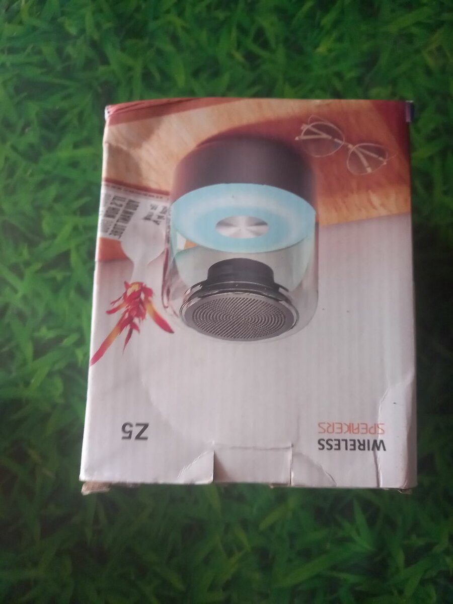 Wireless Speaker System