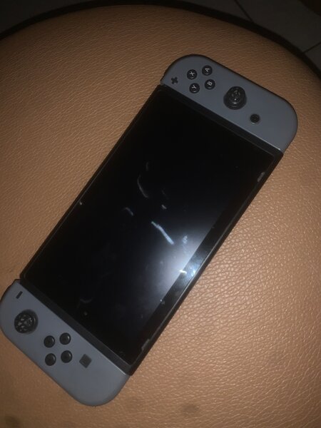 Nintendo Switch Lite Grey