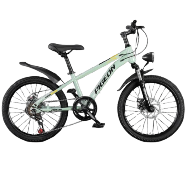 Vélo Pigeon 24 pouces