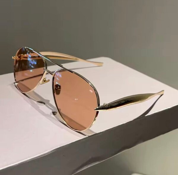 Lunettes de soleil élégantes