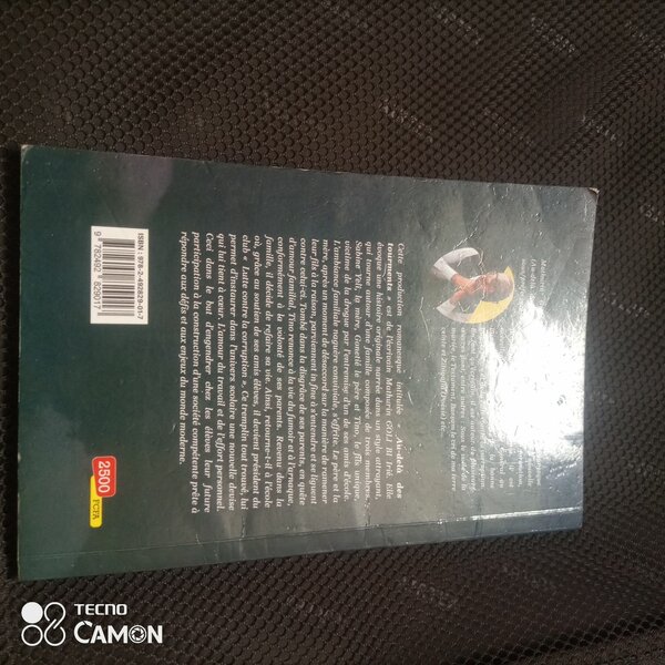 Roman Au -Dela des tourments