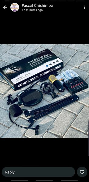 Condenser microphone