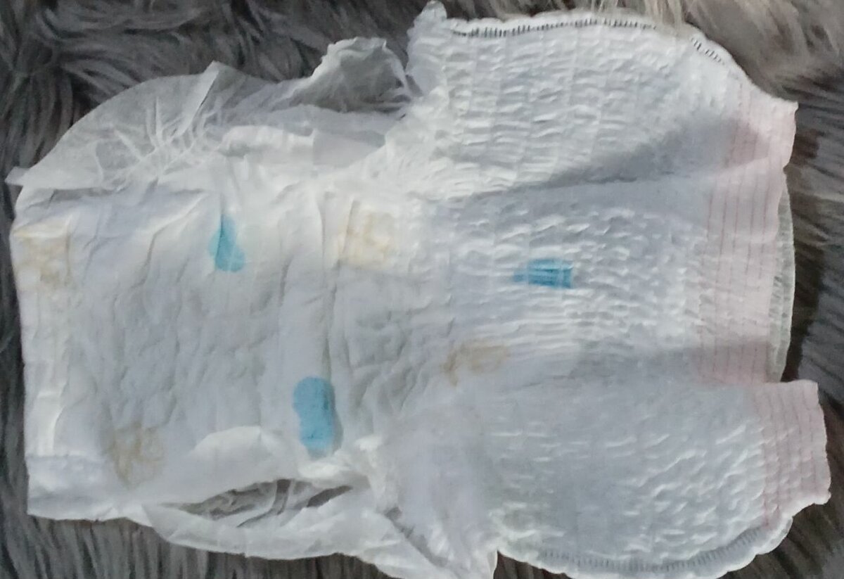 Culottes menstruelles XL-XXL