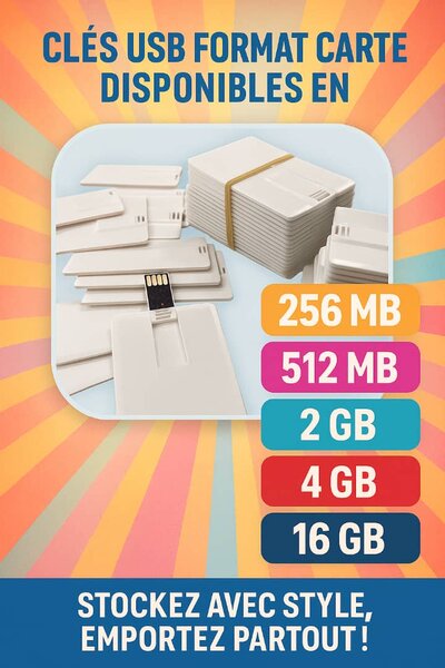 Clé USB Carte 500MB