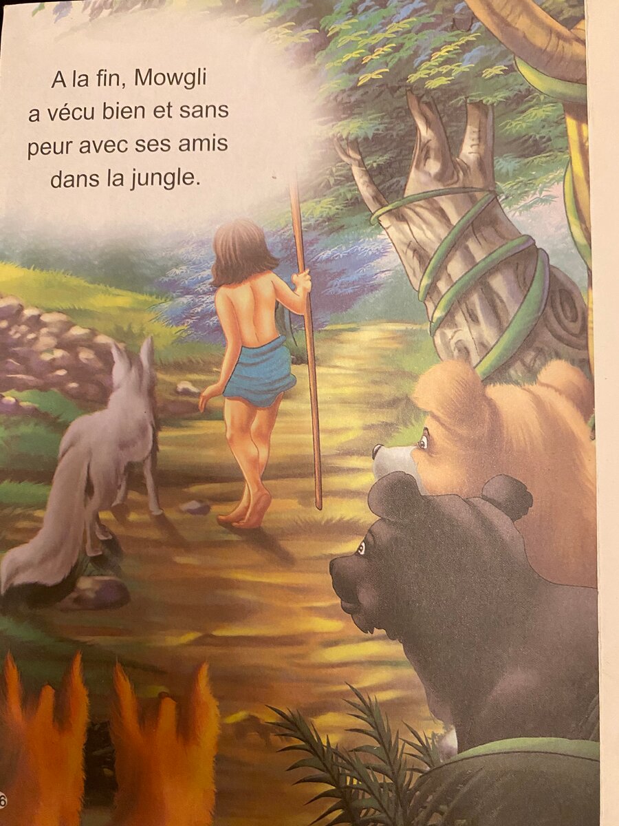 Le Livre De La Jungle