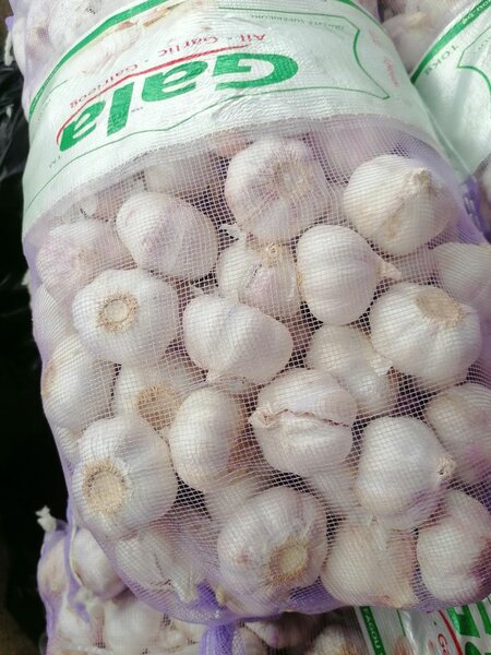 Ail frais en sac Gala/kg