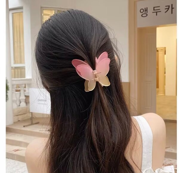 Pince Papillon Colorée