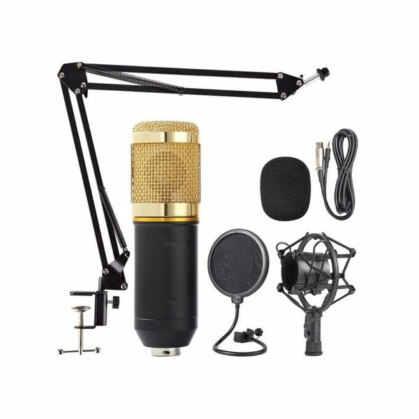 Microphone ZINGYOU BM-800