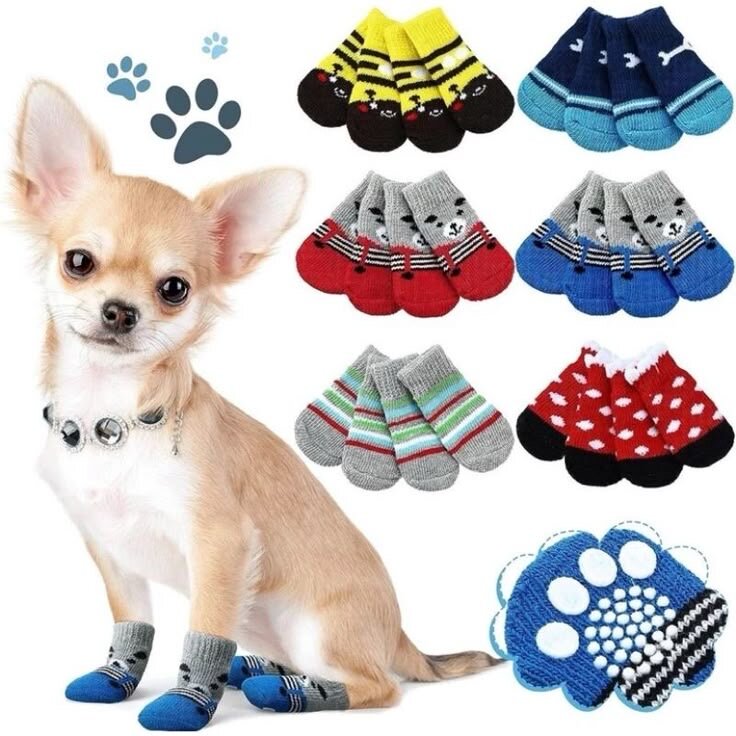 Bottes et Chaussettes pour Chiens
