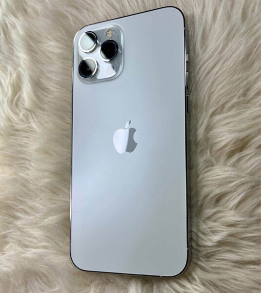 iPhone 13 Pro Max 256 Go Argent