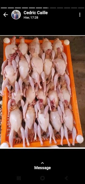 Cailles Fraîches Préparées