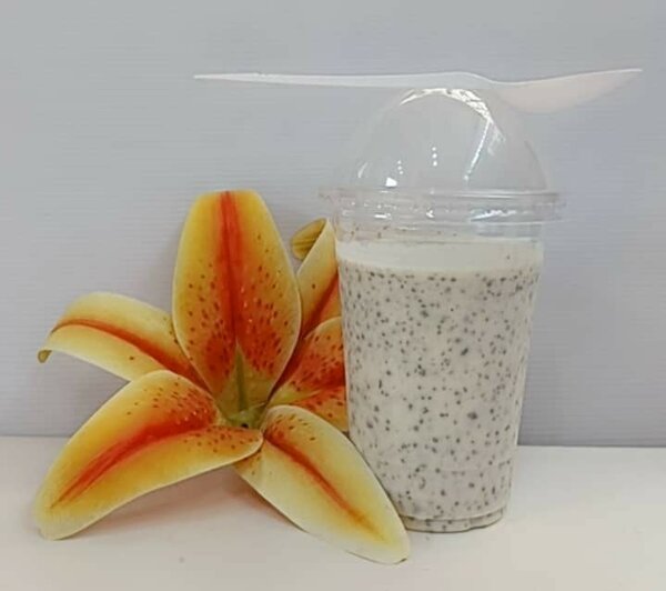 Dêguê au Mil et Raisin Sec