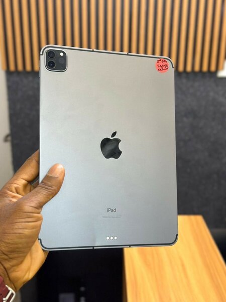 ipad pro 11 M1 chip 256gb wi-fi + cellular