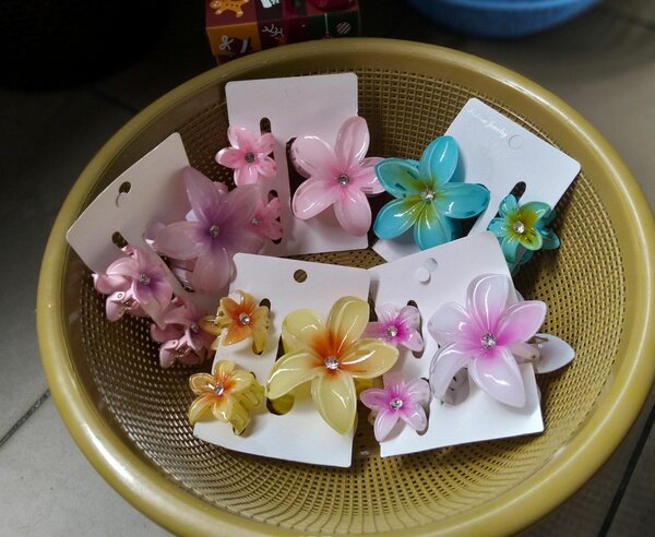 Barrettes fleurs colorées