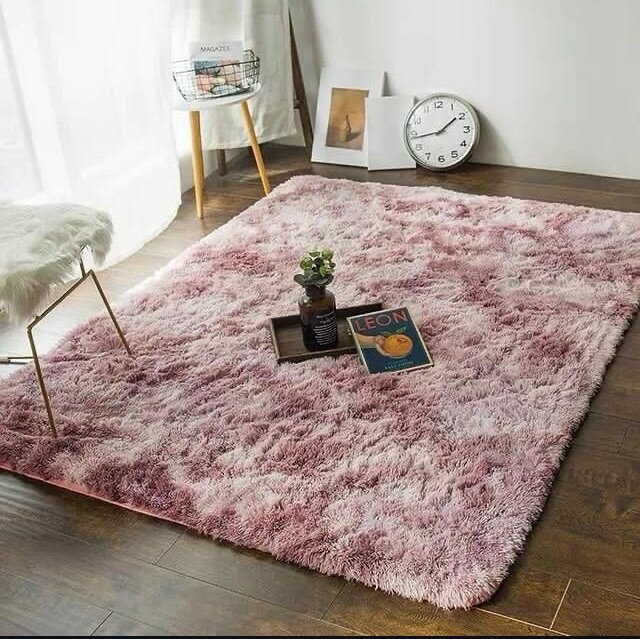 Modern Indoor Fluffy Carpets