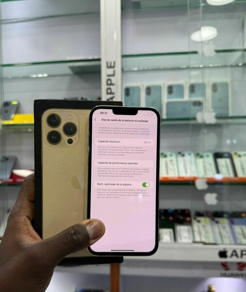 iPhone 14 Pro Max Or